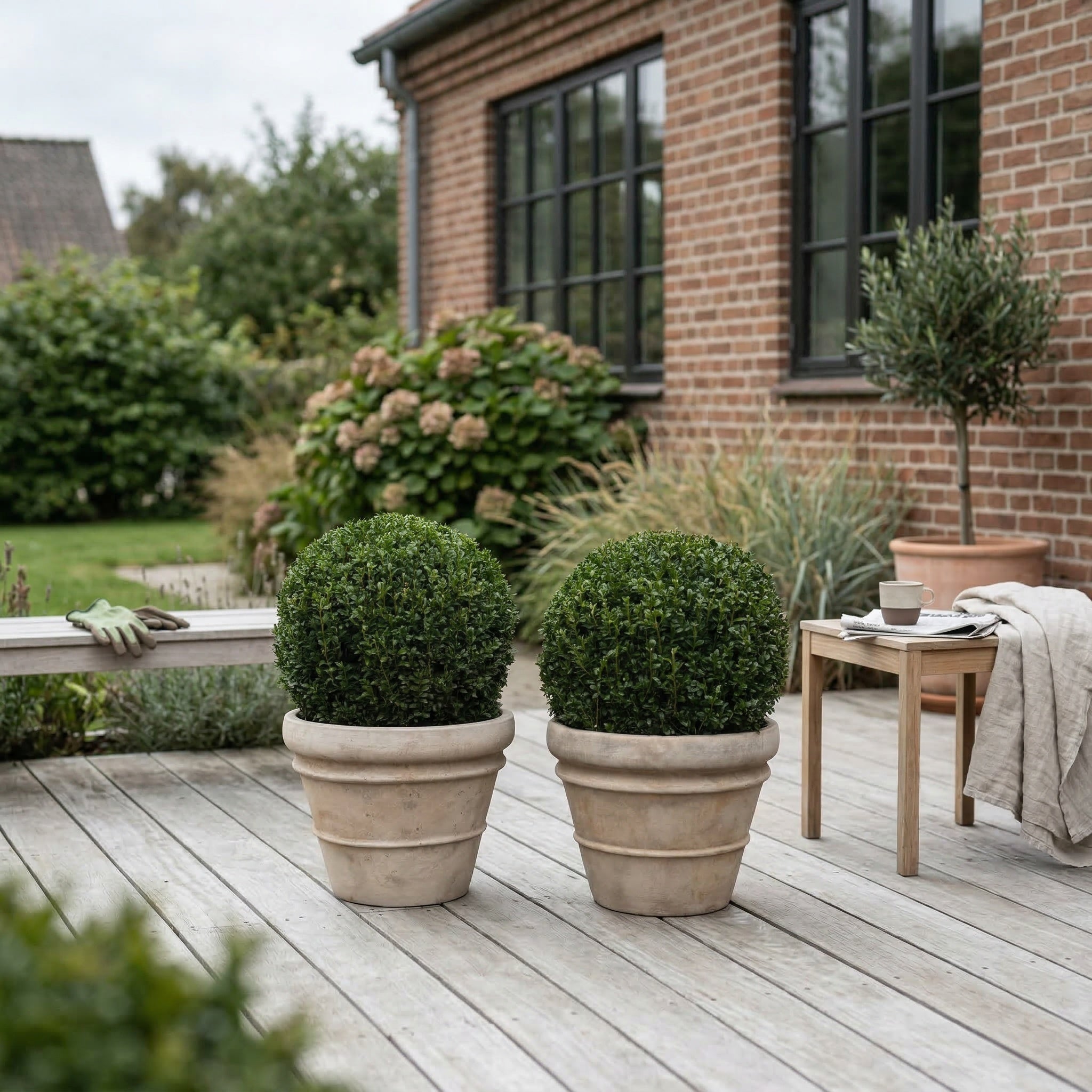 Omplantede planter