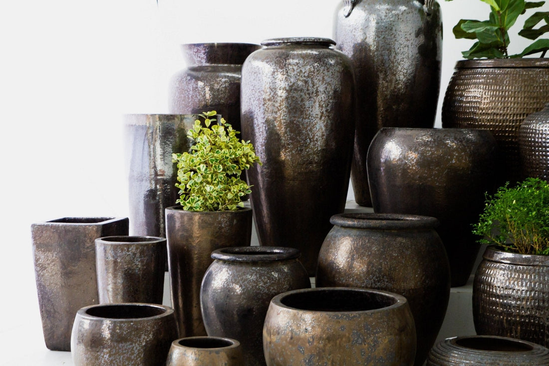 Why Our Clay Pots Stand Among the Best in the World