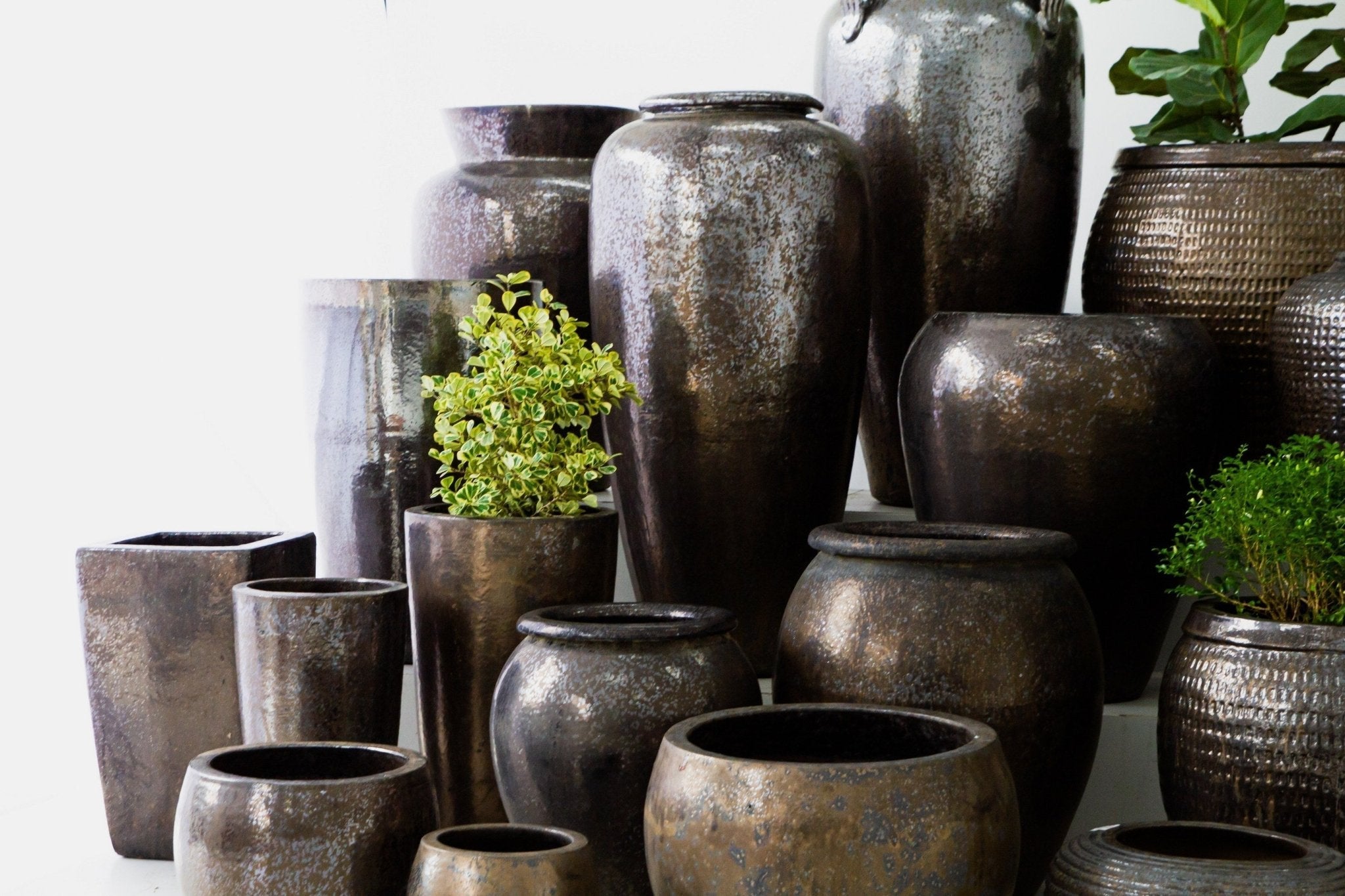 Why Our Clay Pots Stand Among the Best in the World