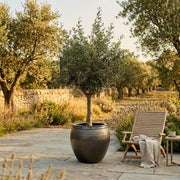 Saphire Olive Atmosphere Set