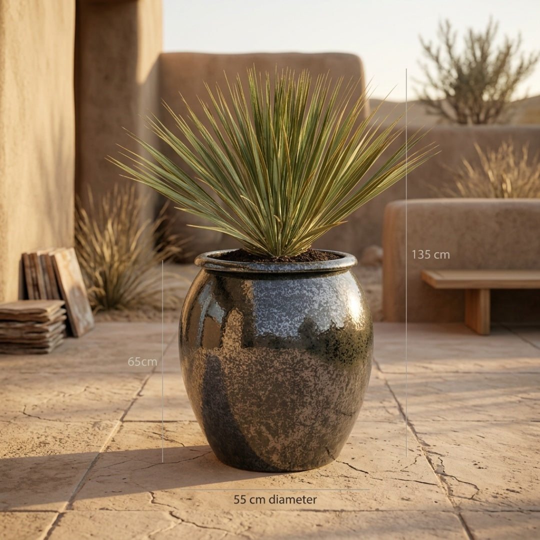 Saphire Yucca Desert Set