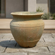 Castor Plant Jar Atlantis Pandora