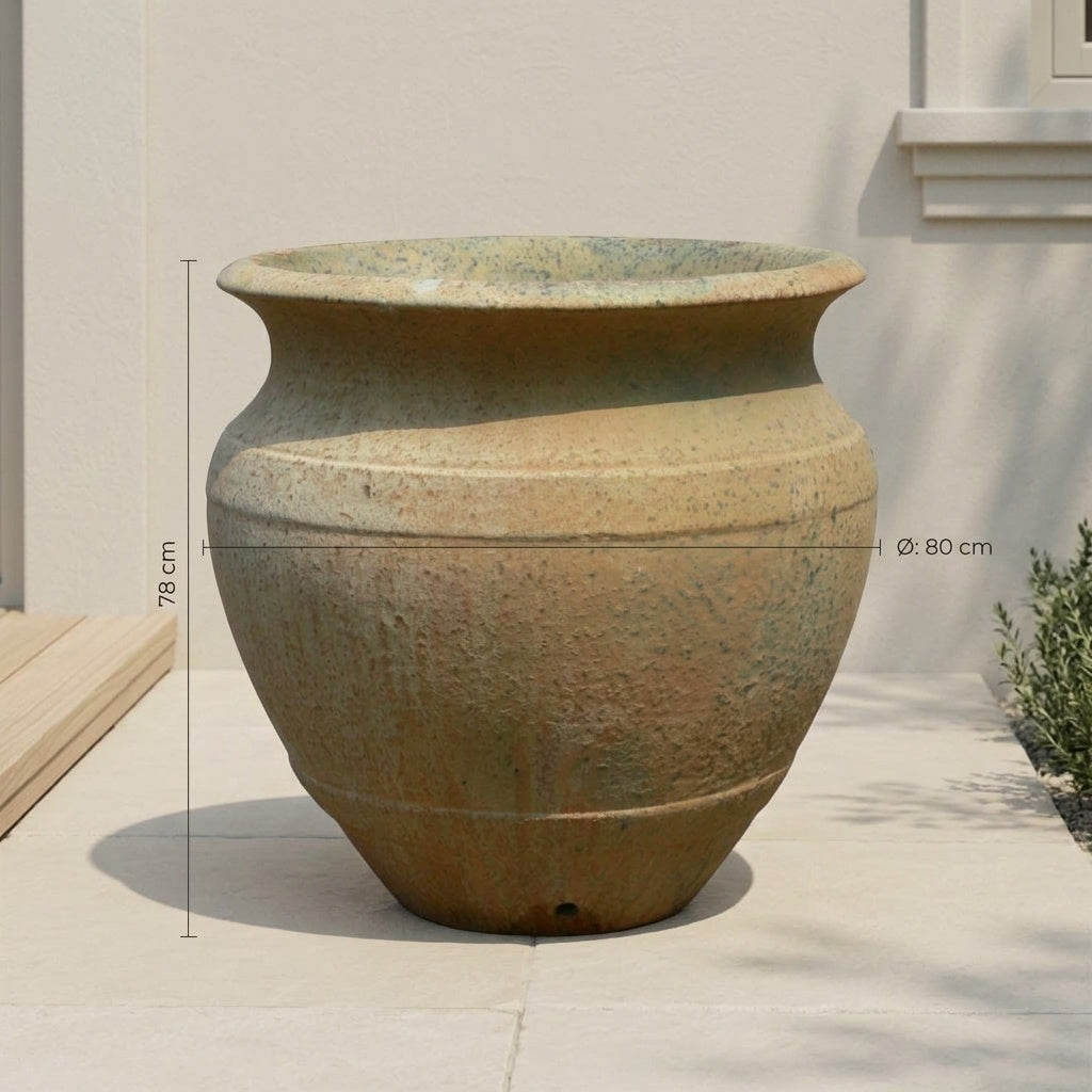 Castor Plant Jar Atlantis Pandora